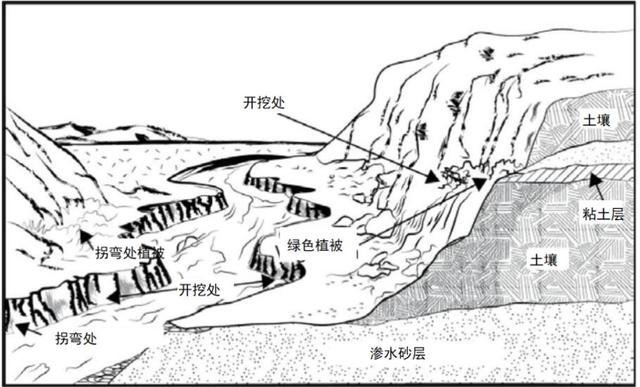 野外生存训练如何获得干净淡水？
