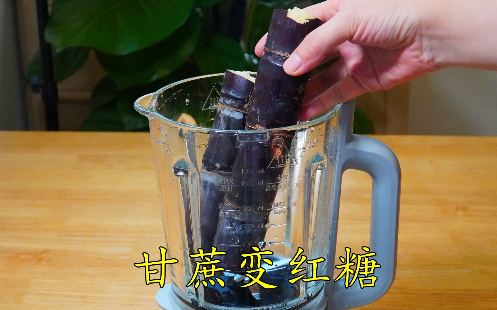 甘蔗 丢进破壁机，出锅就变纯正手工红糖，这做法一般人不知道 等78集