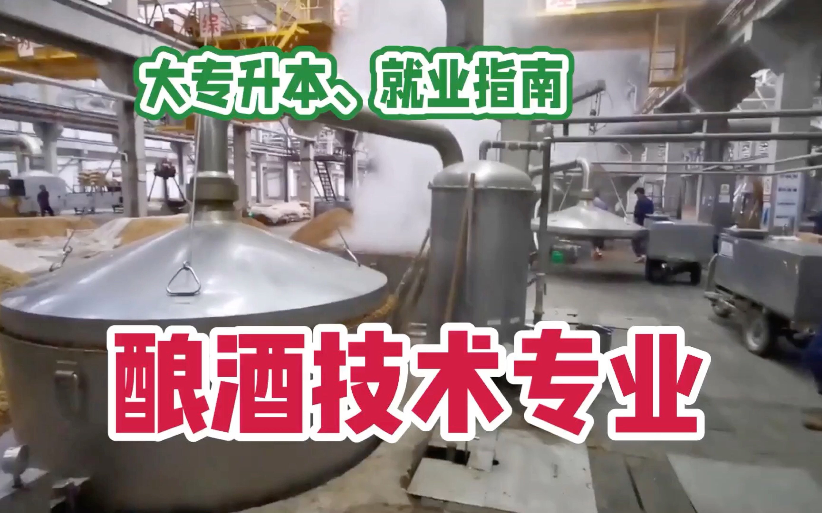 穿越酿酒技术 视频合集